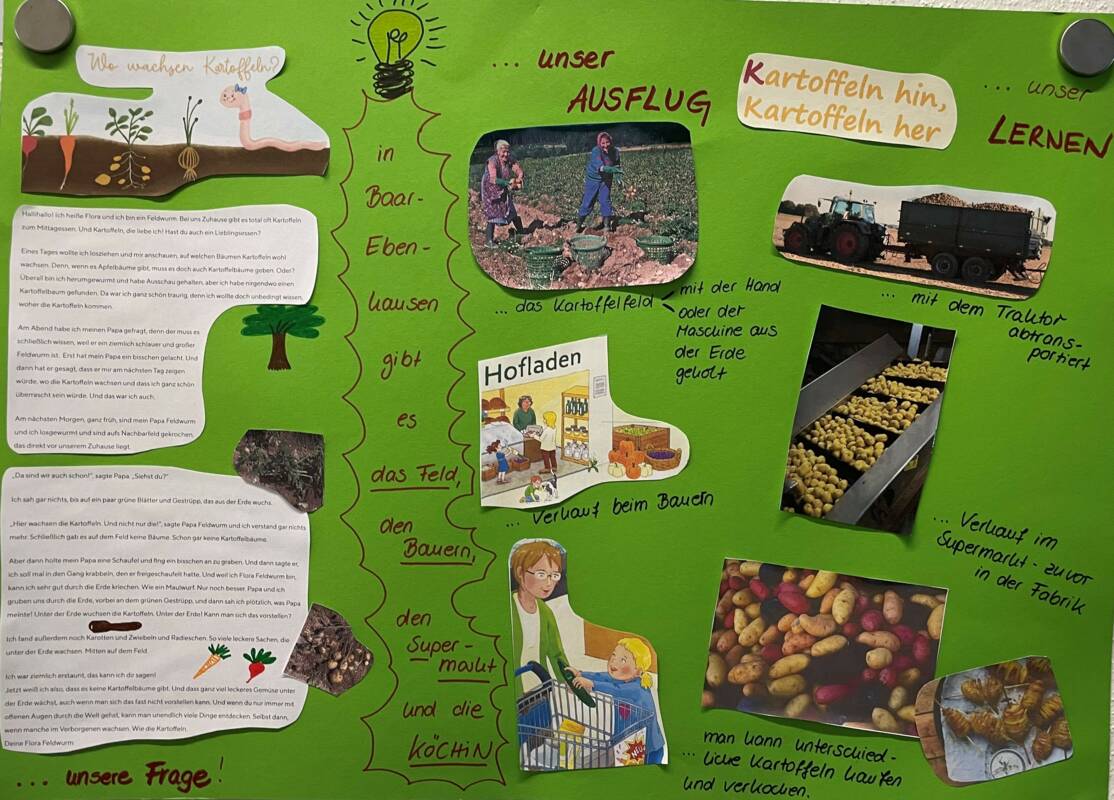  Kartoffelernte auf dem Hoimayhof - Aktuelles - Kindertagesstätte 